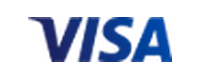 Visa payments at Winzter Casino